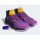 Adidas Harden Vol. 4 “Su Casa” Pack Violet FW7496